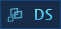 DS